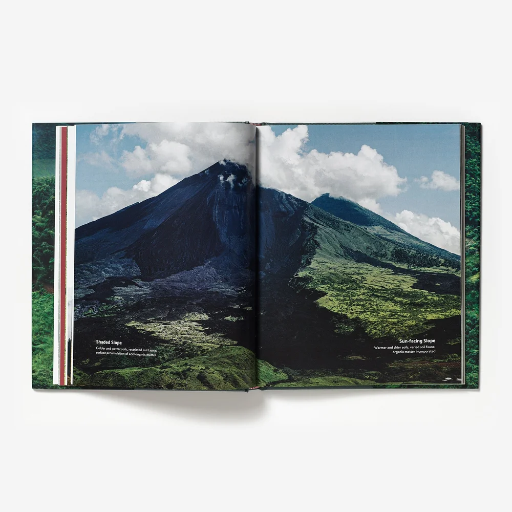 Terroir by Barista Hustle