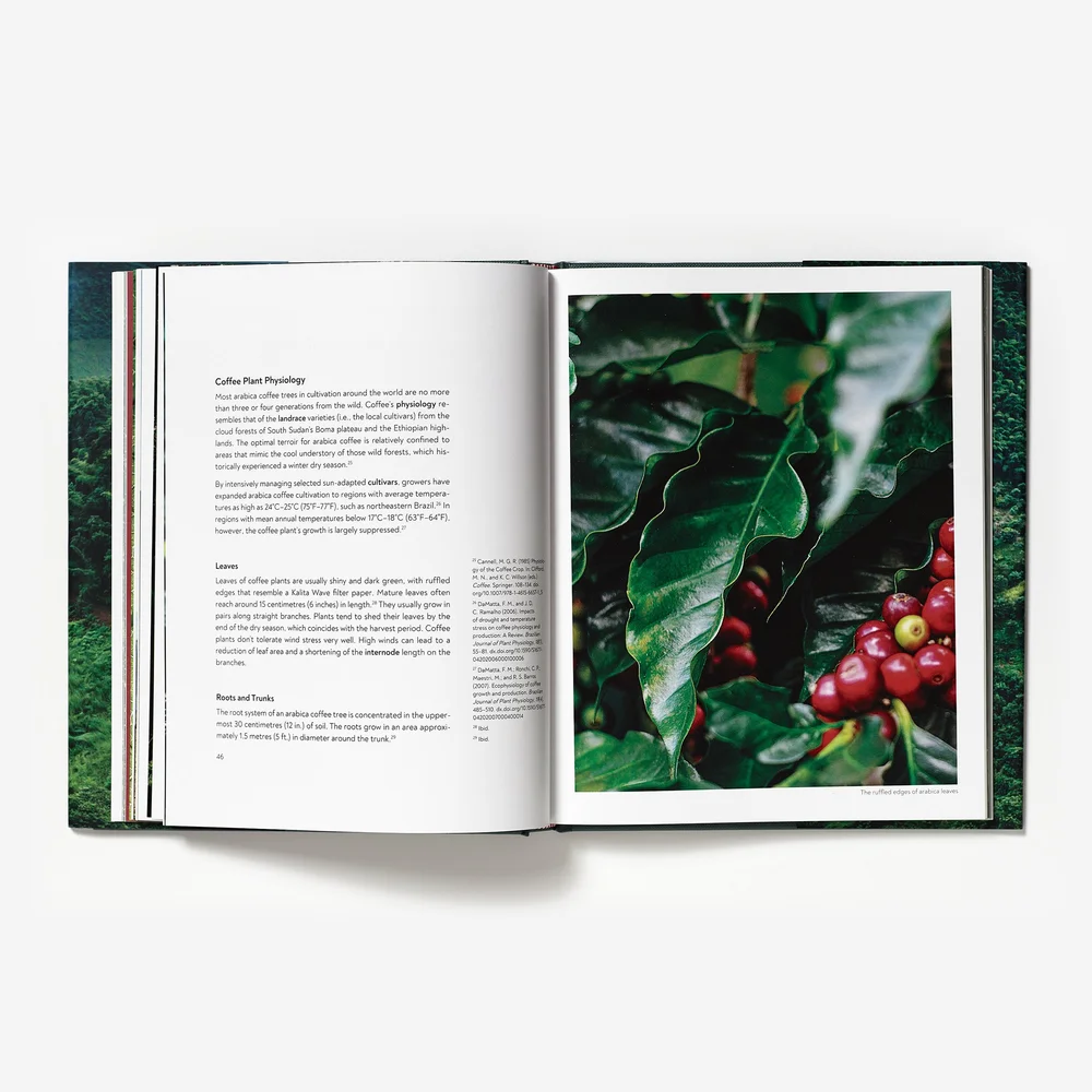 Terroir by Barista Hustle