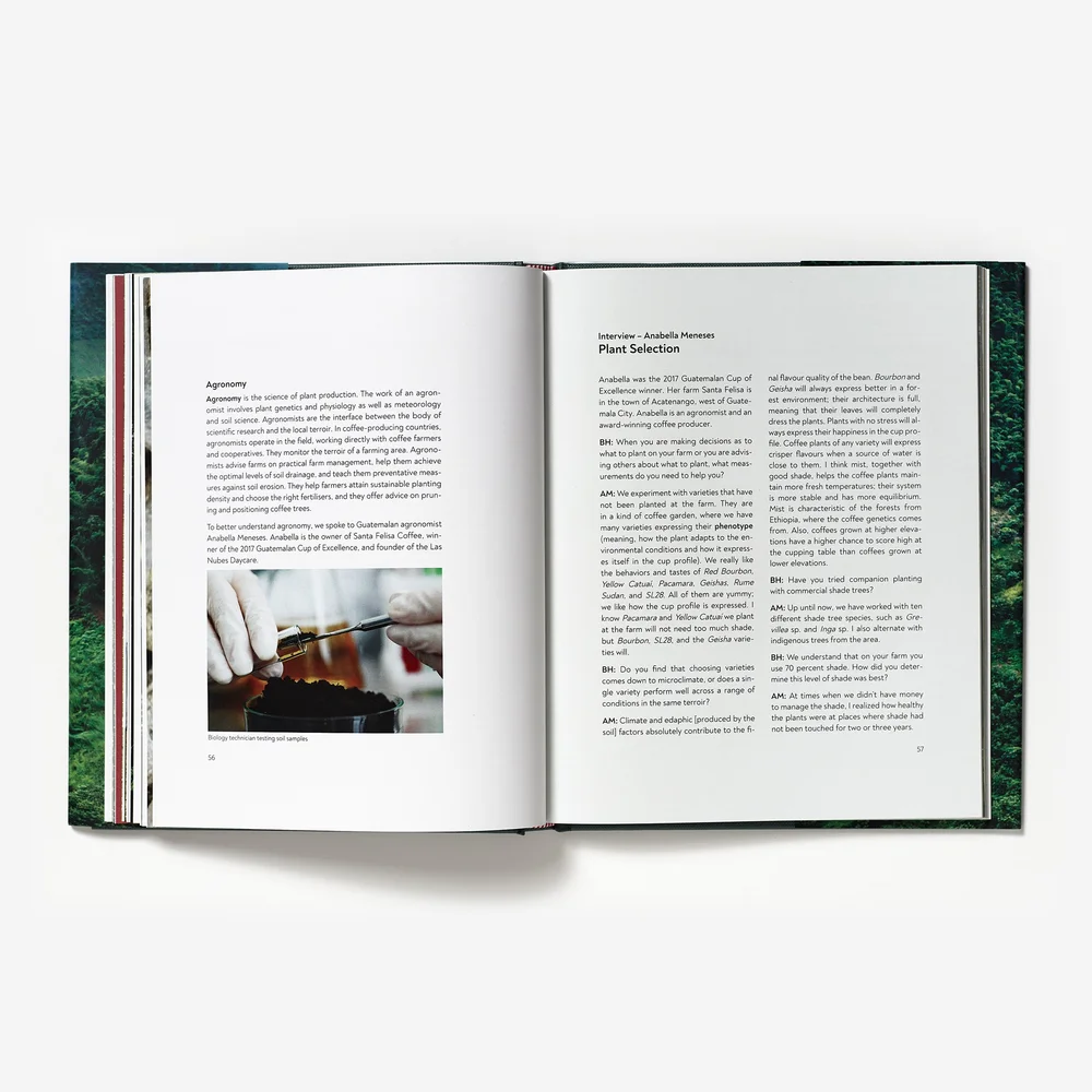 Terroir by Barista Hustle