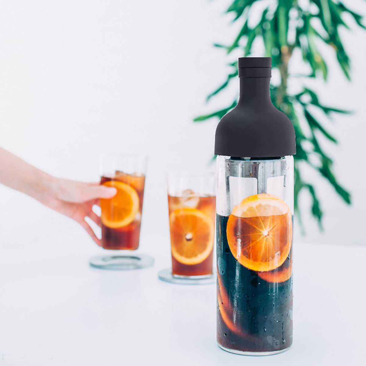 Hario V60 Cold Brew Filter-in Coffee Bottle