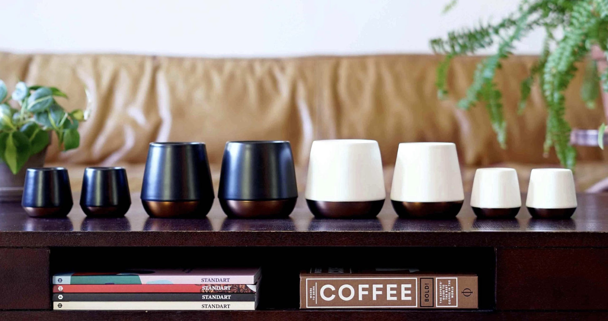 fellow joey ceramic mug landscape cover