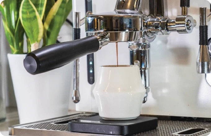 KRUVE Cascade Espresso Cups