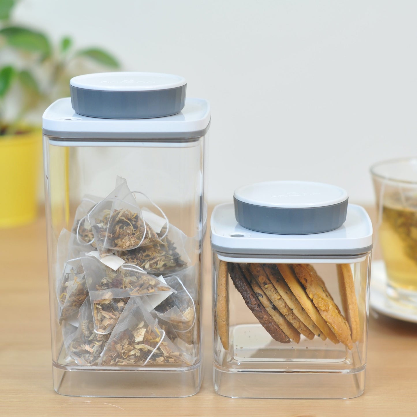 Ankomn Everlock Turn & Lock Airtight Container