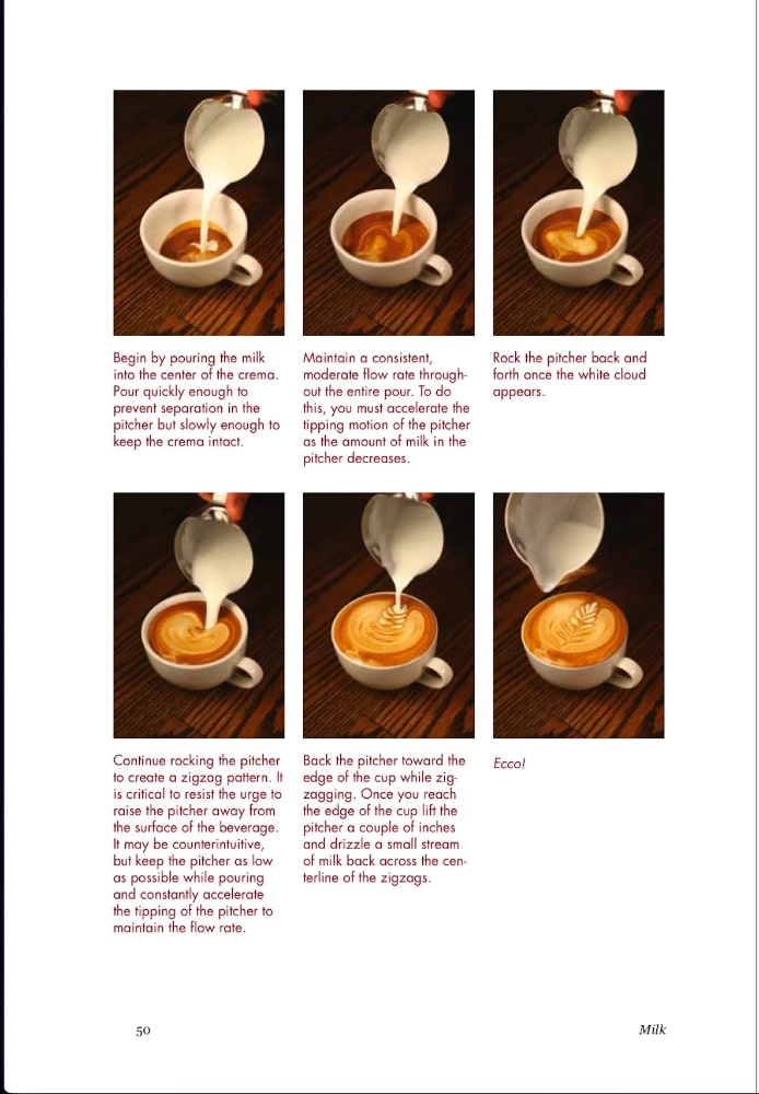The Professional Barista's Handbook by Scott Rao