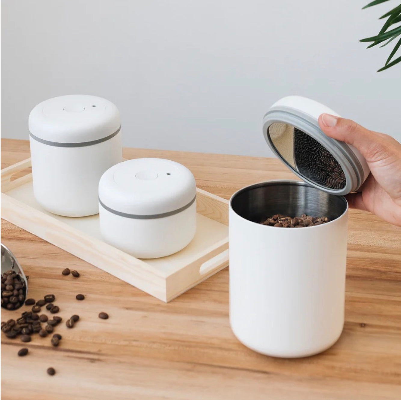 Fellow Atmos Vacuum Canister white lifestyle 1