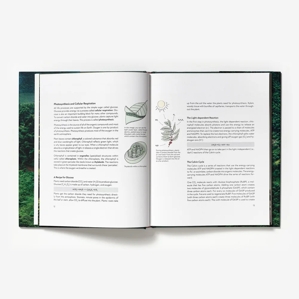 Terroir by Barista Hustle