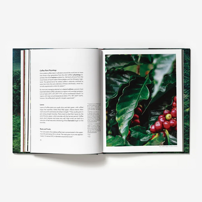 Terroir by Barista Hustle