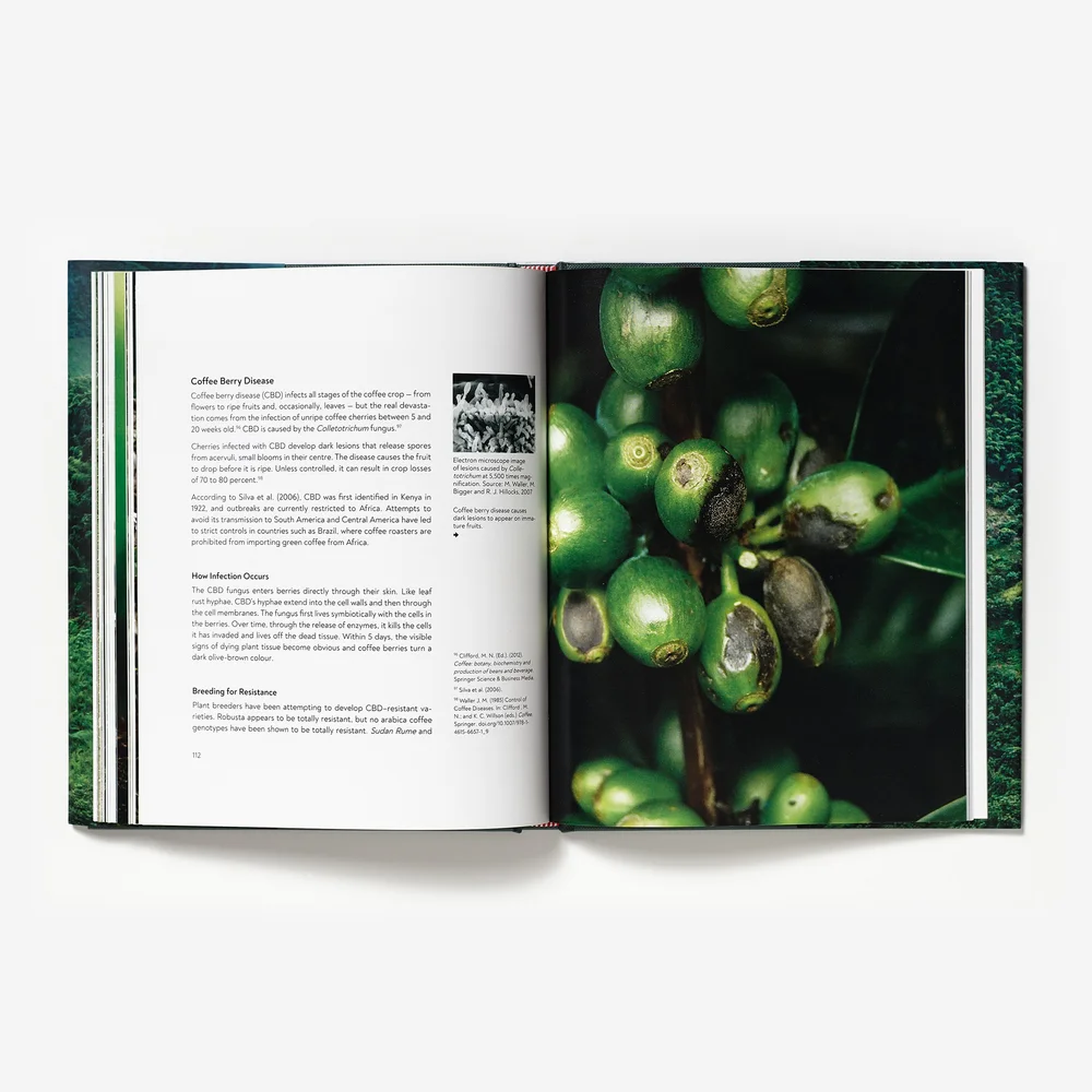 Terroir by Barista Hustle