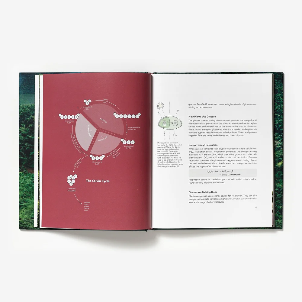 Terroir by Barista Hustle