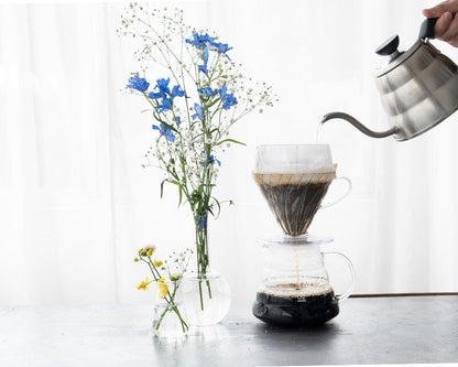 Hario V60 Drip-Assist Set