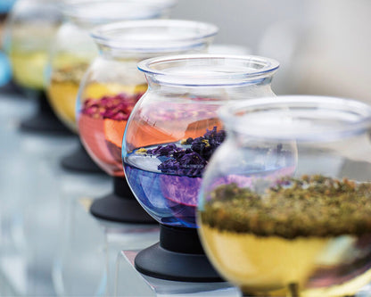 Hario Tea Dripper LARGO7